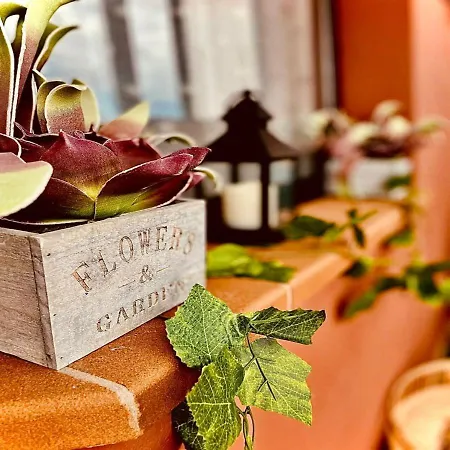 Paradise Apartman